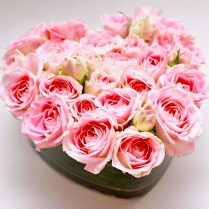 Meet your Posher, Debbie💕.